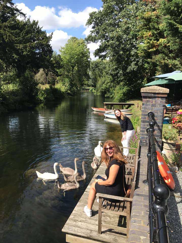 Swans on the river beside the riverside seating
