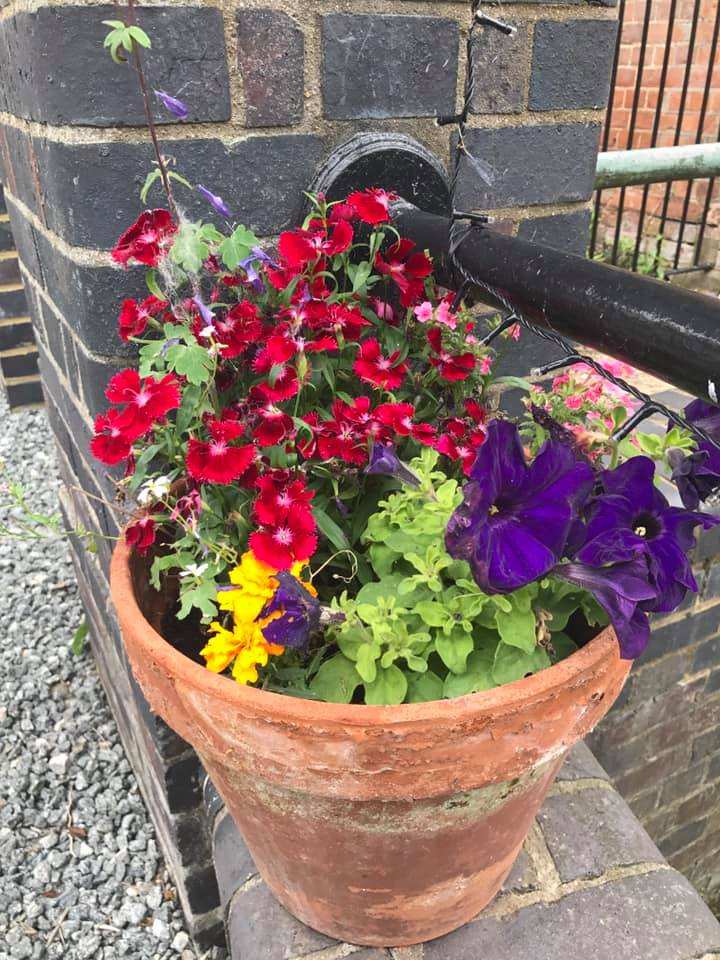 A pot of red and purple flowers at the riverside