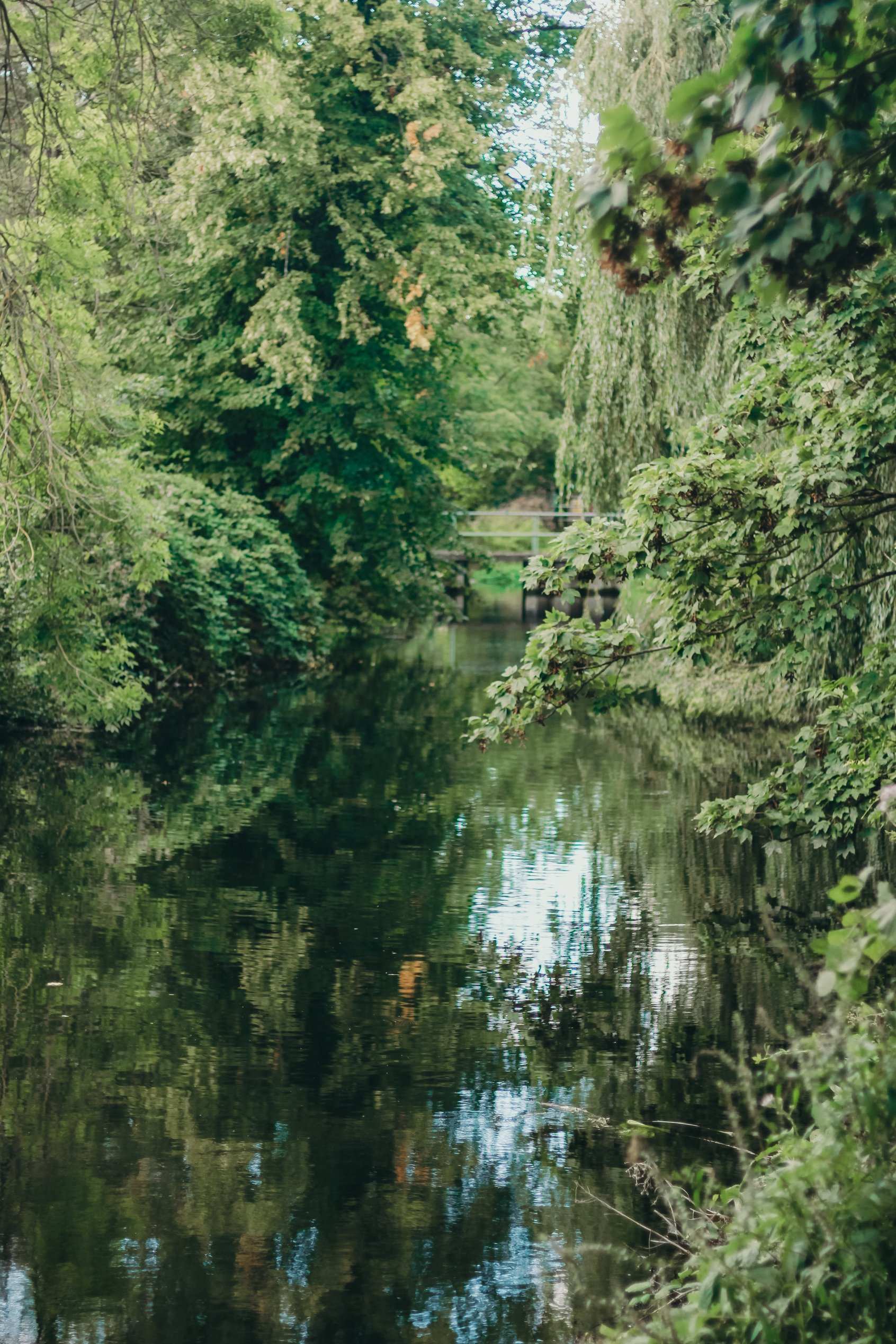 Green reflections on the river beside the hotel