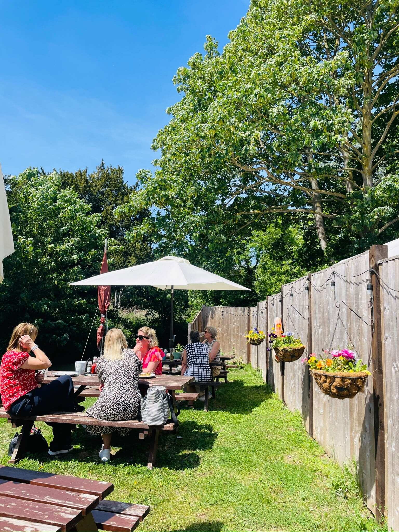 Guests at picnic tables in the garden under a parasol